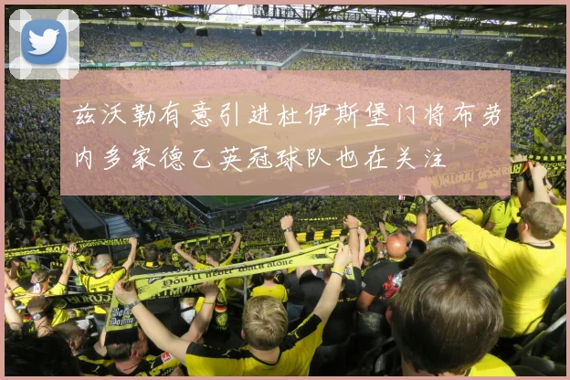 兹沃勒有意引进杜伊斯堡门将布劳内多家德乙英冠球队也在关注